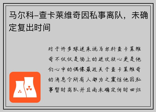 马尔科-查卡莱维奇因私事离队，未确定复出时间
