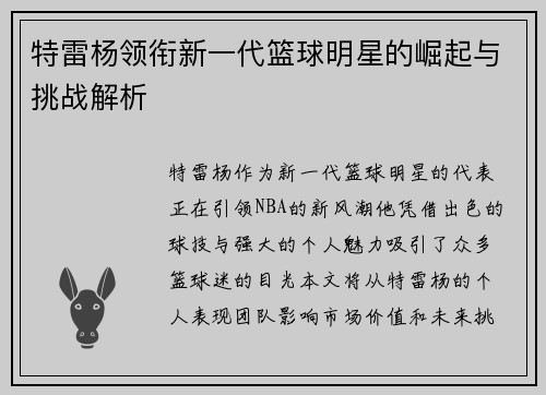 特雷杨领衔新一代篮球明星的崛起与挑战解析