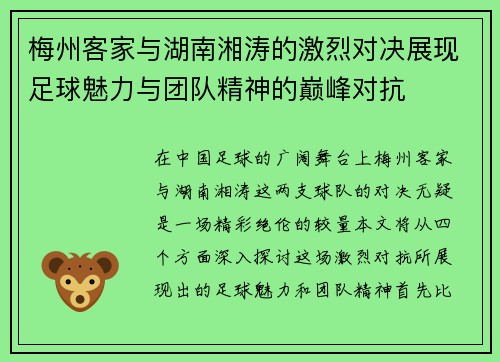 梅州客家与湖南湘涛的激烈对决展现足球魅力与团队精神的巅峰对抗